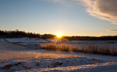 Solnedgång i vintrigt åkerlandskap
