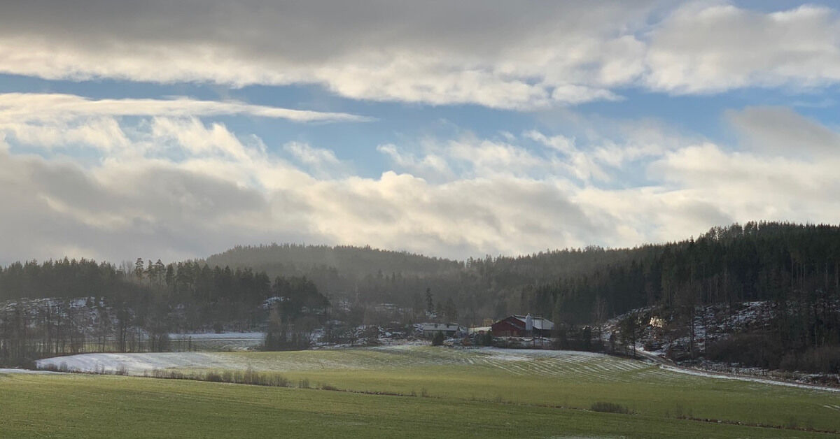 Vy över grön åker som delvis är snötäckt.