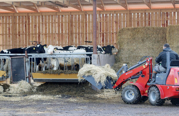 Lantbrukare kör ut foder till sina kor