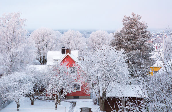 Rött hus i vinterlandskap