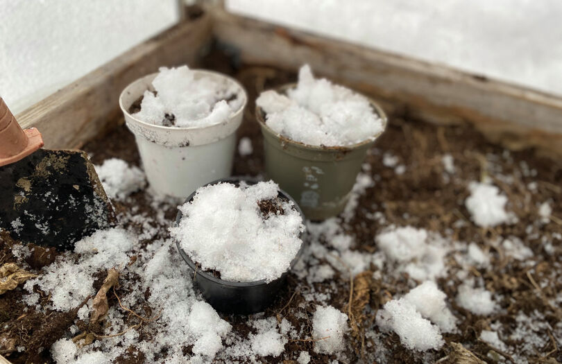 Tre krukor med jord och snö.