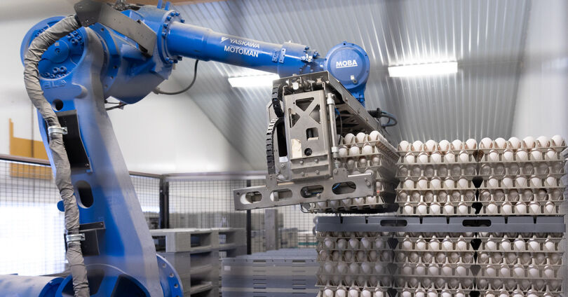 Robothantering av ägg  från Stjernsunds totalt  168 000 värphöns.