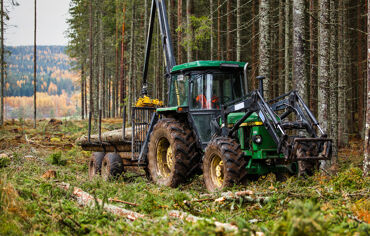 Traktor och virke i skog