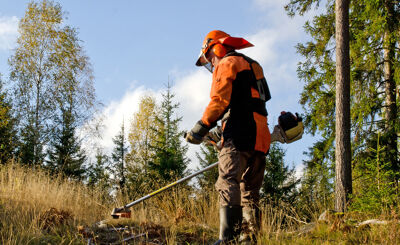 Skogsarbetare med röjningsverktyg