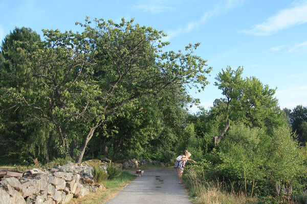 En kvinna går på en grusväg med ett barn på ryggen.