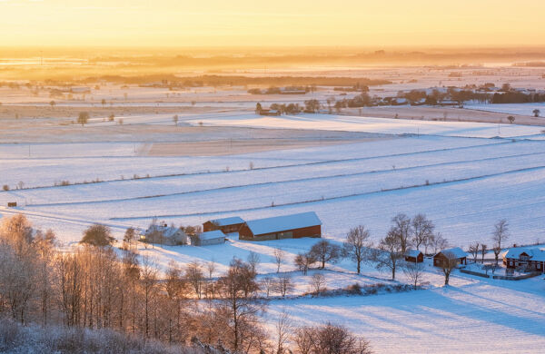 Vinterlandskap med röda gårdar och snö på åker
