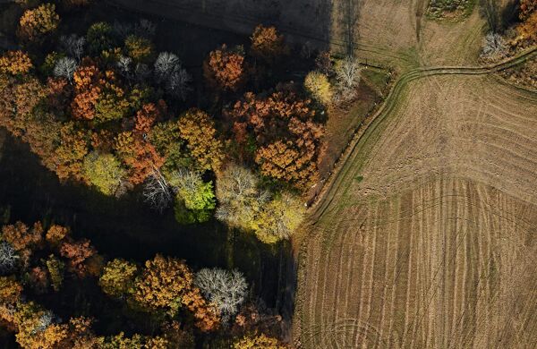 Flygfoto över landskap med åker och skog