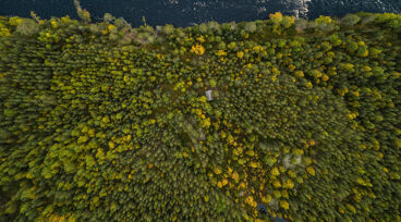 Flygfoto över skog och älv