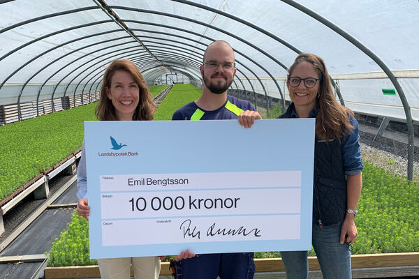 Karin Wijkander, Emil Bengtsson, Elin Ekstrand